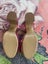 Miss Wilson - Zsa Zsa Party heels Carousel 7