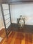 Ladderax modular shelving unit Carousel 5