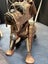 Dog sculpture Carousel 5