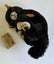 Vintage Steiff kitten plush soft toy Carousel 1