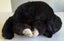 Vintage Steiff kitten plush soft toy Carousel 11