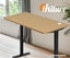 Standing Desk Top Adjustable Motorised Electric Sit Stand Table 3 Sizes Carousel 2