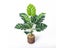 43cm 12 Forks Artificial Monstera Tree Green Fake Plants Plastic Evergreen Carousel 5