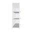 Display Cabinet Storage Shelf Clear Bookshelf Stand Rack Bookcase White Carousel 6