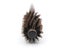 12 Style Wood Handle Round Rolling Brush Straight Twill Hair Comb Boar Bristle Carousel 4