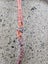 2 X VINTAGE LEATHER STOCK WHIPS Carousel 4