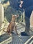 Paxton - PUPPY Pound Hounds Rescue Carousel 10