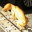 POSSUM = BEST FORM LIFESIZE ART TAXIDERMY ANIMAL FORM PROP TARGET Carousel 3