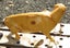 POSSUM = BEST FORM LIFESIZE ART TAXIDERMY ANIMAL FORM PROP TARGET Carousel 4