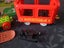 Duplo lot Carousel 5