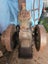 1926 Wolseley 5 HP Petrol Engine Serial No 6124 RPM 650 Style 4 R Type Carousel 1