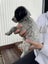Blue healer cross puppies Carousel 4