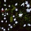 Garden Solar Light Outdoor *Clearance Carousel 4