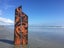 Tui and Flax Story Flute Pair - Garden Art by Pete Collins Carousel 1