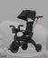 Deluxe Kids Foldable Tricycle Carousel 1