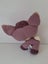 LPS VIPs Deer Plush Toy Carousel 2