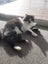Mog the Cat Carousel 2