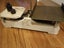 Antique Scales Germany KRUPS Carousel 4