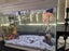 Fish Tank Carousel 1