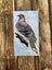 WATERPROOF VINYL DIE CUT STICKER ~ Kereru/NZ Wood pigeon Carousel 4