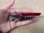 Gulliver Wine Knife/ Cork Screw Carousel 4