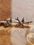 Victorian 9ct Gold Swallows & Seed Pearls Brooch 1.36gm Carousel 11