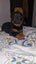Rottweilers puppies Carousel 6
