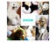 10PCS/Bag Dog Diapers Diaper For Dogs Pet Female Dog Disposable Leakproof Carousel 7