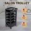 Hair Salon Trolley Tool Cart Hairdressing Colouring Beauty Storage Furniture Carousel 3