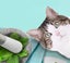 Catnip Powder for Cats Edible Carousel 4