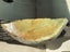 Beautiful Greenstone/Pounamu Carousel 4