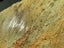 Beautiful Greenstone/Pounamu Carousel 5