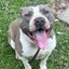 Mairangi - AM Staff - BOI Animal Rescue Trust Carousel 1