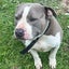 Mairangi - AM Staff - BOI Animal Rescue Trust Carousel 3