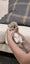 Pure Bred Mini Lop Bunnies Carousel 6