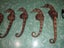 10 SEAHORSES Carousel 3