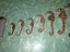 10 SEAHORSES Carousel 4