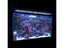 Fish Tank Aquarium Light NZ Clearance Carousel 5