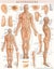 Acupressure Laminated by Vincent Perez - Hardcover Carousel 1