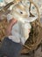 **Trained Mini Lop Bunny Rabbits & Care Package** Carousel 6