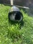 2x rabbits ( need rehoming ) Carousel 3