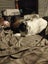 2x rabbits ( need rehoming ) Carousel 4