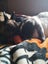 2x rabbits ( need rehoming ) Carousel 8