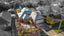 gallery view thumbnail