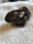 RABBITS Carousel 5