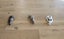 Pure Bred Mini Lop Bunnies Carousel 11