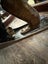 Stanley Bailey No 5 Woodworking Steel Plane Carousel 5