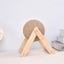 Interactive Wooden Sisal Cat Scratching Post Ball Carousel 12