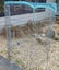 Cat wasn’t happy with her purchases Carousel 4