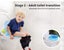 Bopeep Kids Potty Trainer Seat Safety Toilet Training Toddler Children Non Slip Carousel 5